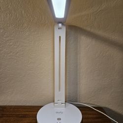 LED Desk Lamp