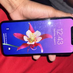 iPhone X