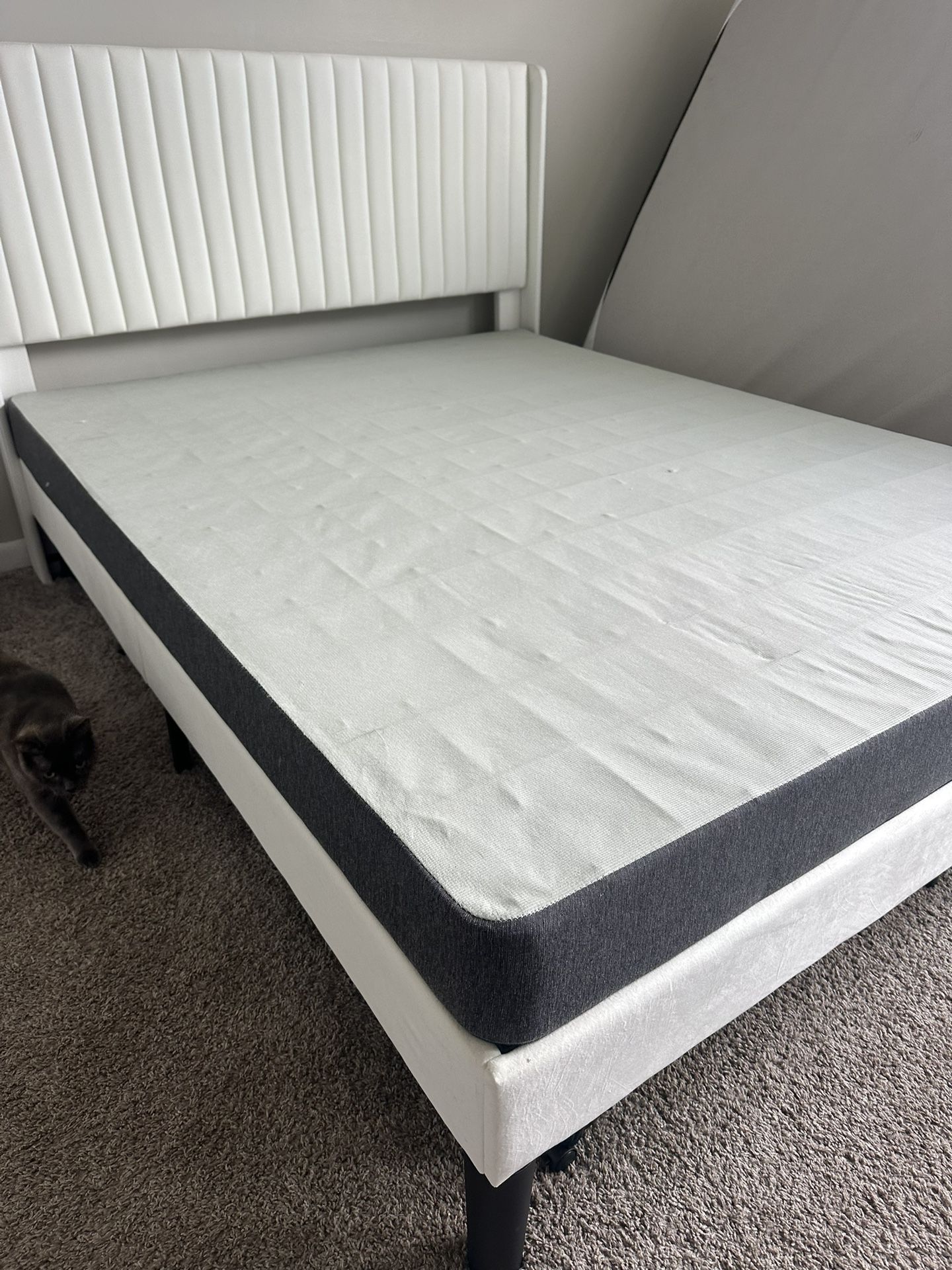 Queen Size Box Spring for Sale