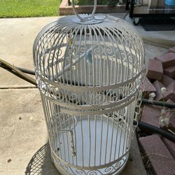 Bird cage 50