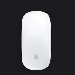 Apple Magic Mouse 