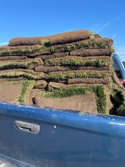 Sod and sprinkles