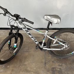 Huffy Adult Bicycle
