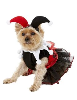 NWT Rubie's Costume Company Harley Quinn Dog & Cat Halloween Costume Size Small