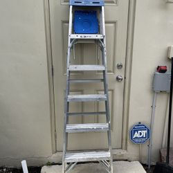 6 Foot Aluminum Ladder, 
