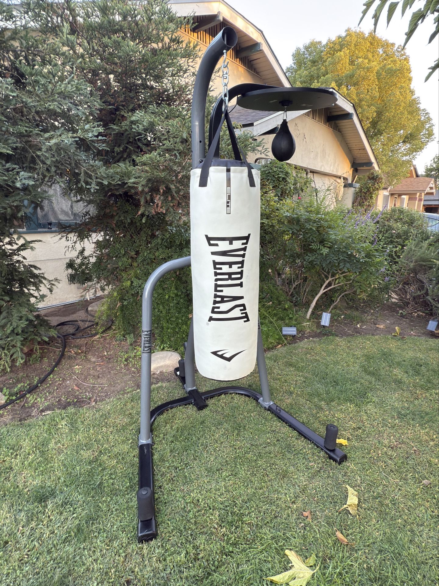 Punching bag station with speed bag, Everlast