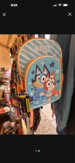 New Bluey backpack. Has lights.