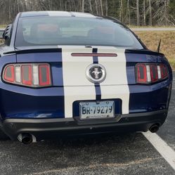 Mustang Tailights 