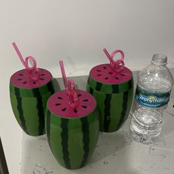 21oz Watermelon Tumblers