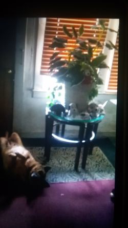 A nice glass table to put your stuff on