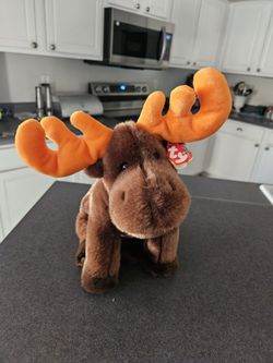 TY Beanie Baby Moose "Choclate" 1999