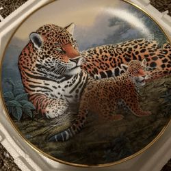 Jaguar And Cubs Display Plate