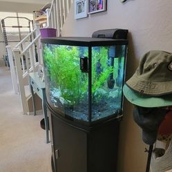 36 Gallon Bowed Aquarium Freshwater Fish Grow Tank