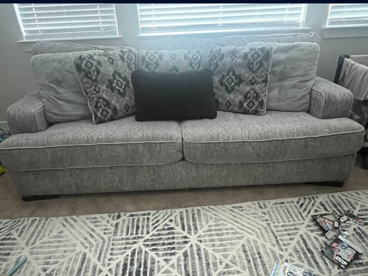 Plush Light gray Couches