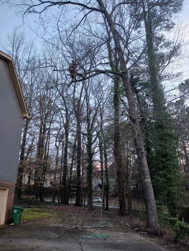 Contract Tree Climber/Tree Work