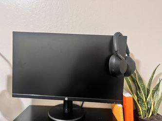 HP Monitor