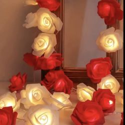  1.5 M / 4.9 Ft 10 Led Flower Red And White light 