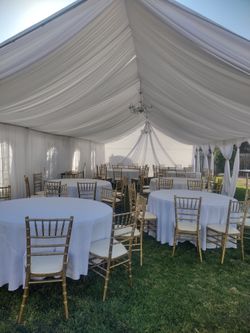 Tent, Draping Chiavary Chairs Resin Chairs Linens And More