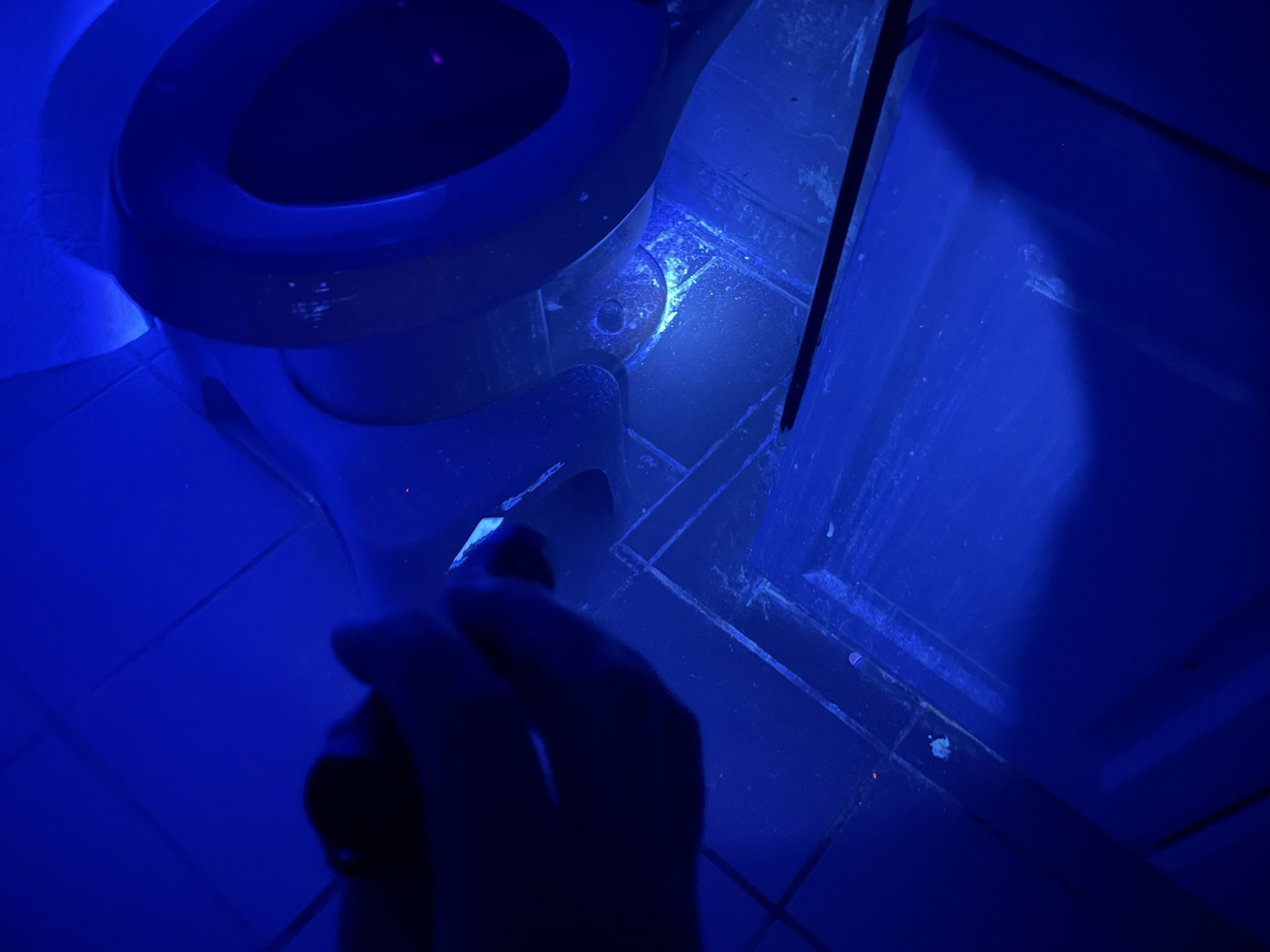 UV Flashlight 