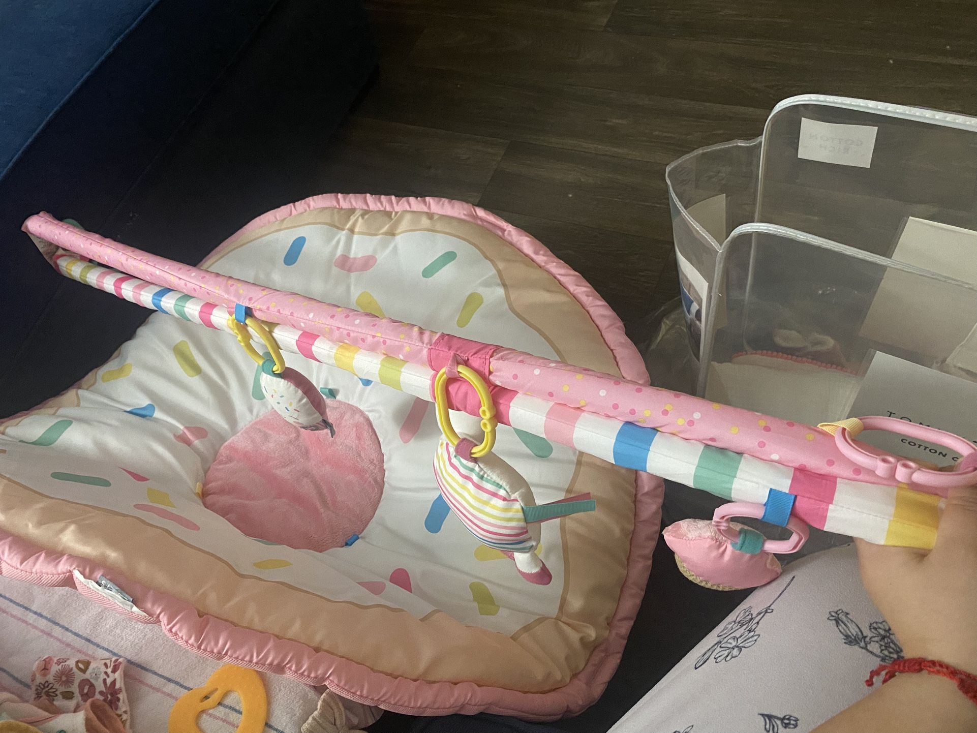 Carter's Sweet Surprise Baby Activity Gym And More