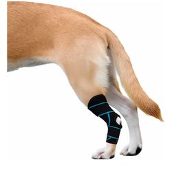 Dog Knee Brace for Back Leg, ACL Support for Large Dogs, Adjustable Dog Leg Brace for Hind Leg Injuries, Canine Joint Wrap for Arthritis Recovery (L)