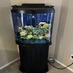 36 Gallon Bow Front Fish Tank