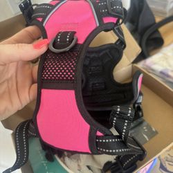 Small Dog Harness 