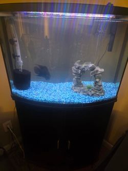Fish Tank