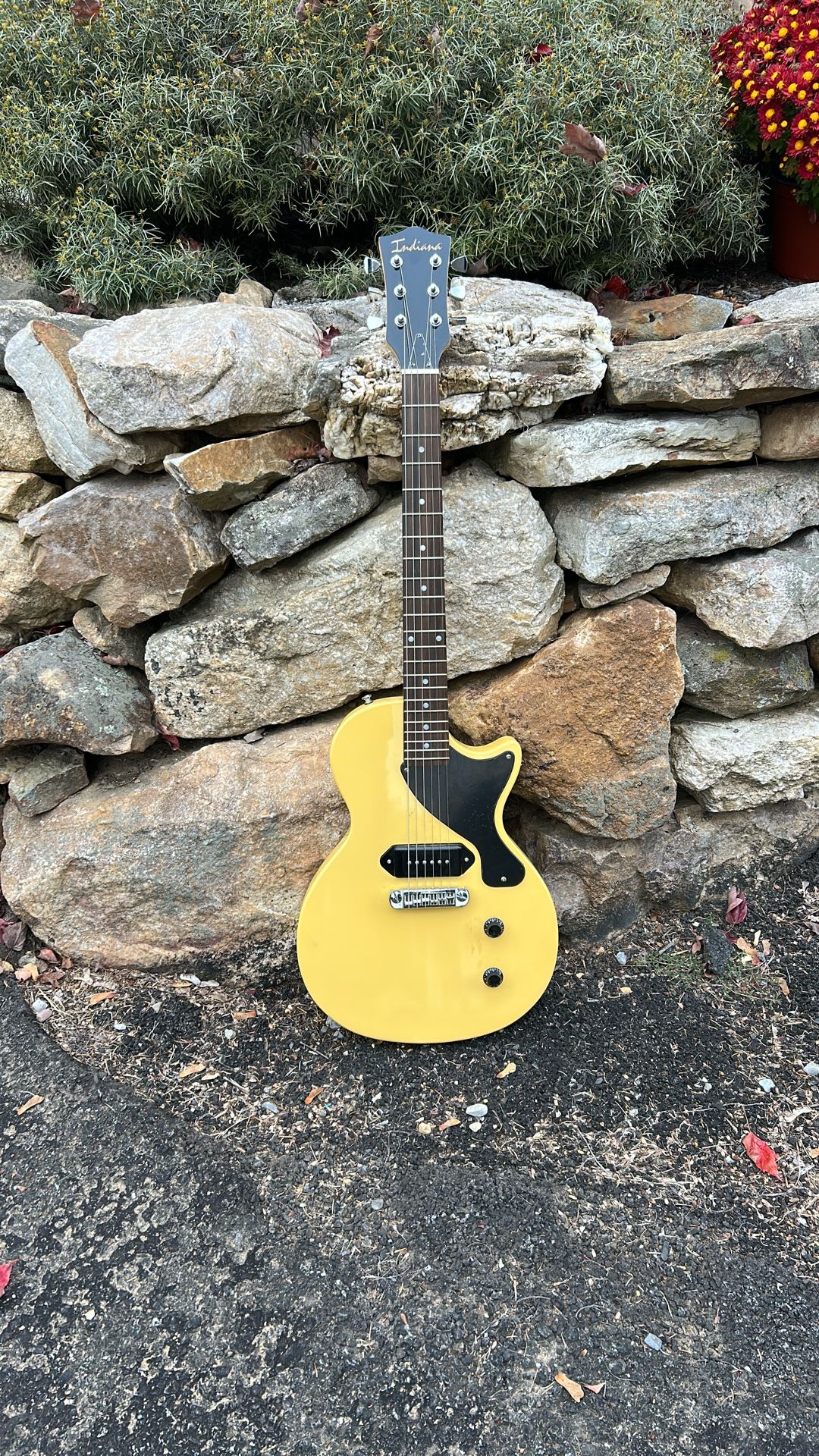 Electric Guitar