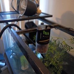 55 Gallon Aquarium