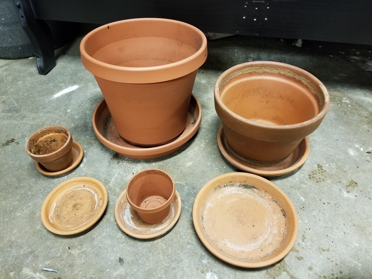 Pots flowers