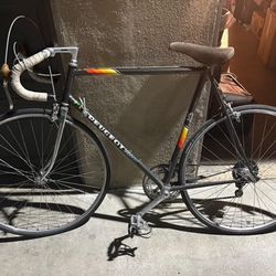 Puegot Bike