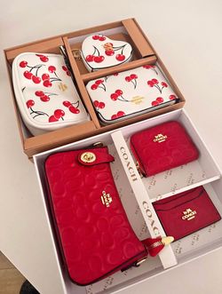 Coach bag set