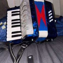 Acordeon 