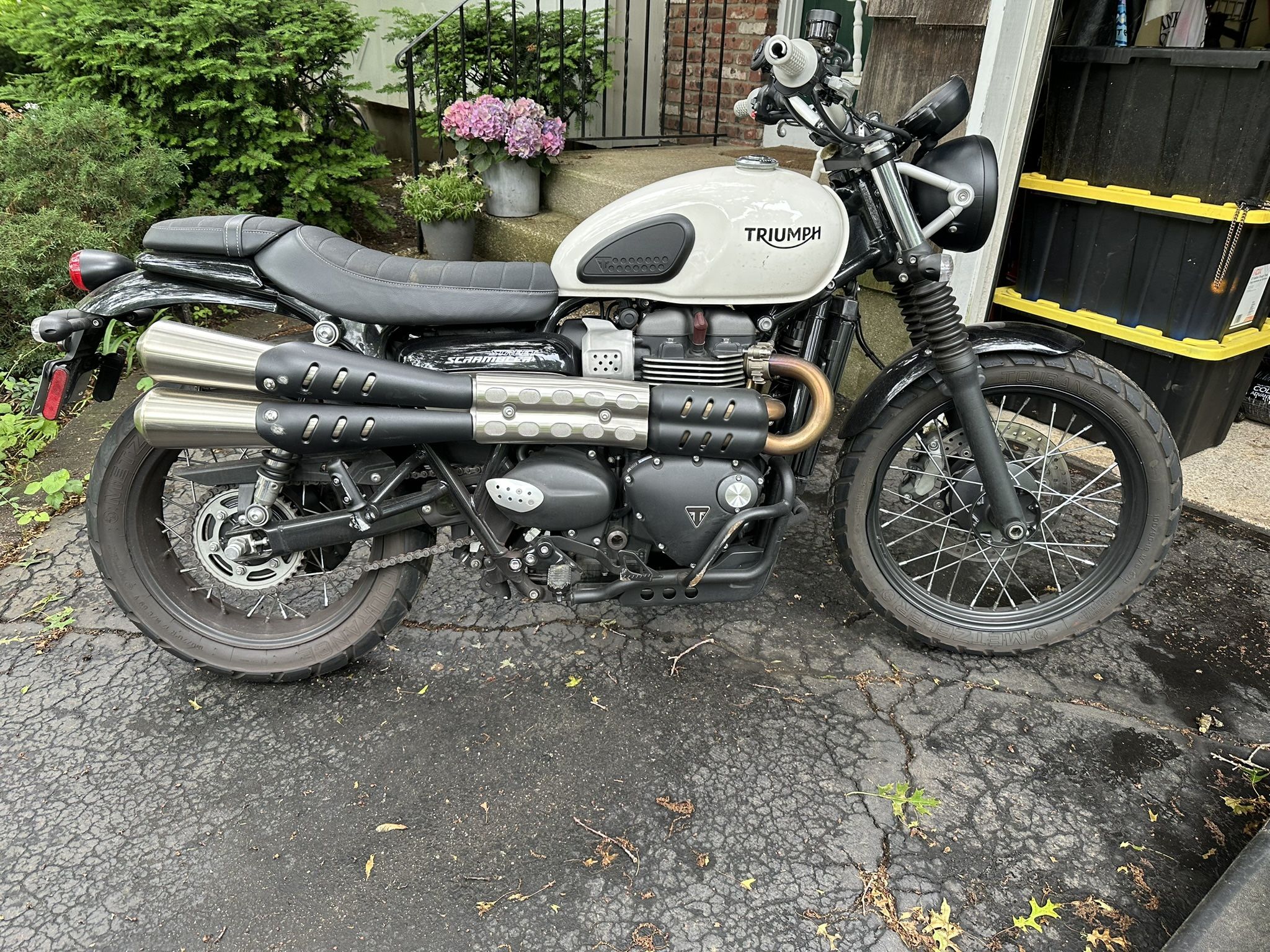 2019 Triumph Street scrambler