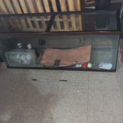 50 Gallon Tank