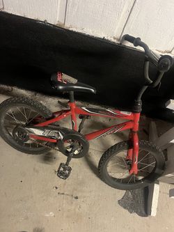 Bike 16 in