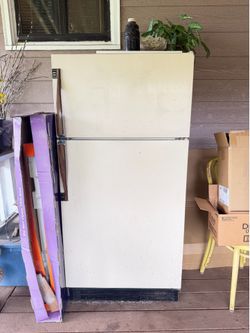 Free Fridge (2) or standing freezer