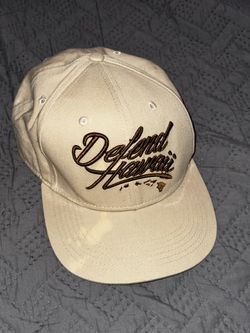 Defend Hawaii SnapBack 