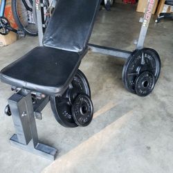 OLYMPIC BARBELL 45LB X 2 AND BENCH PLUS 2X10LB'S