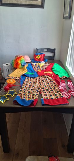 Traje  de adulto de pallaso