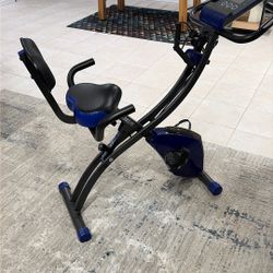 FlexBike Ultra Adjustable Exercise Bike