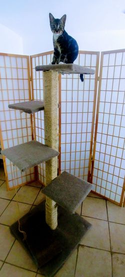 Cat Climb handmade all natural materials