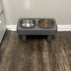 Dog Bowls 