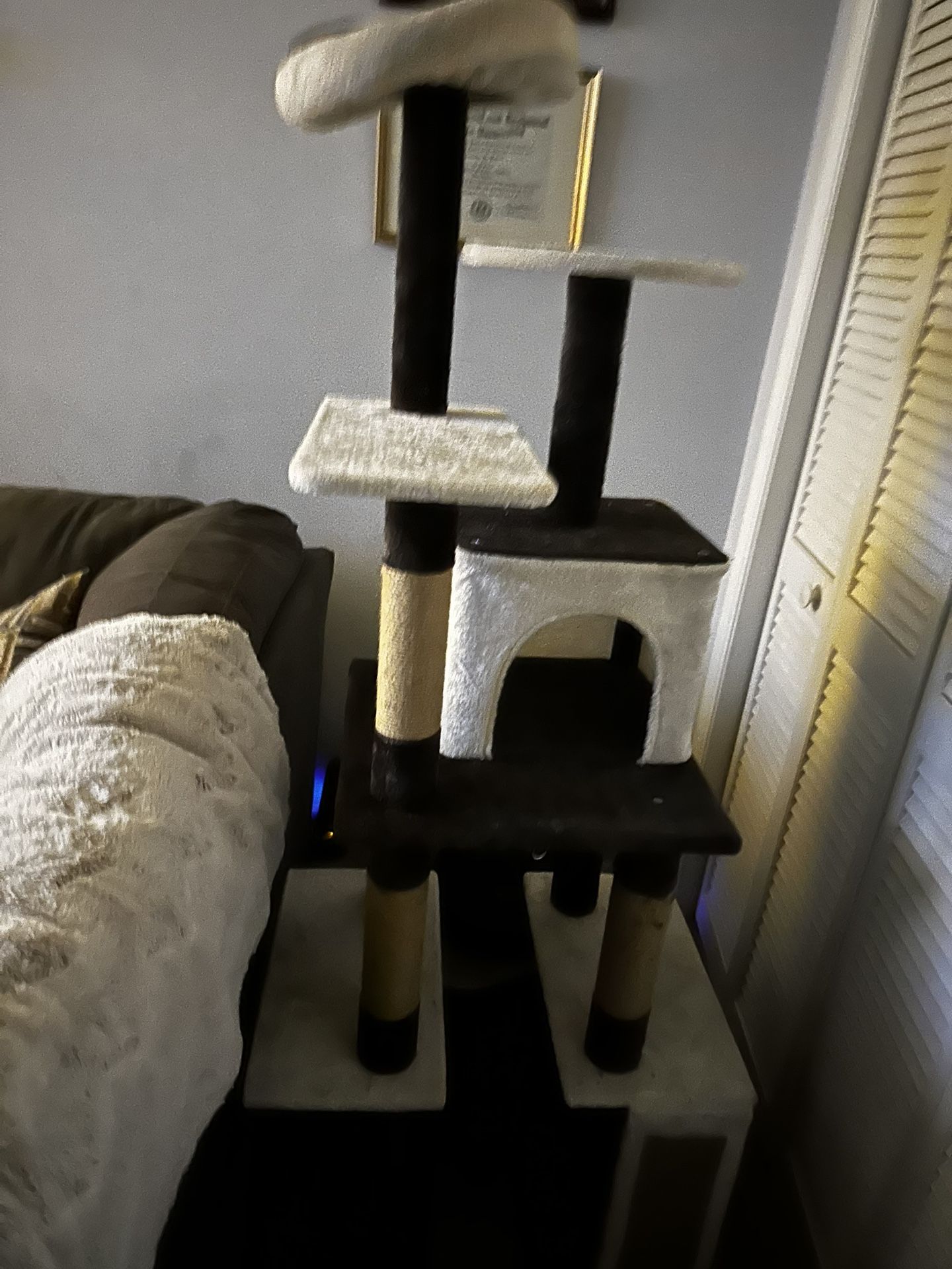 Cat Tower