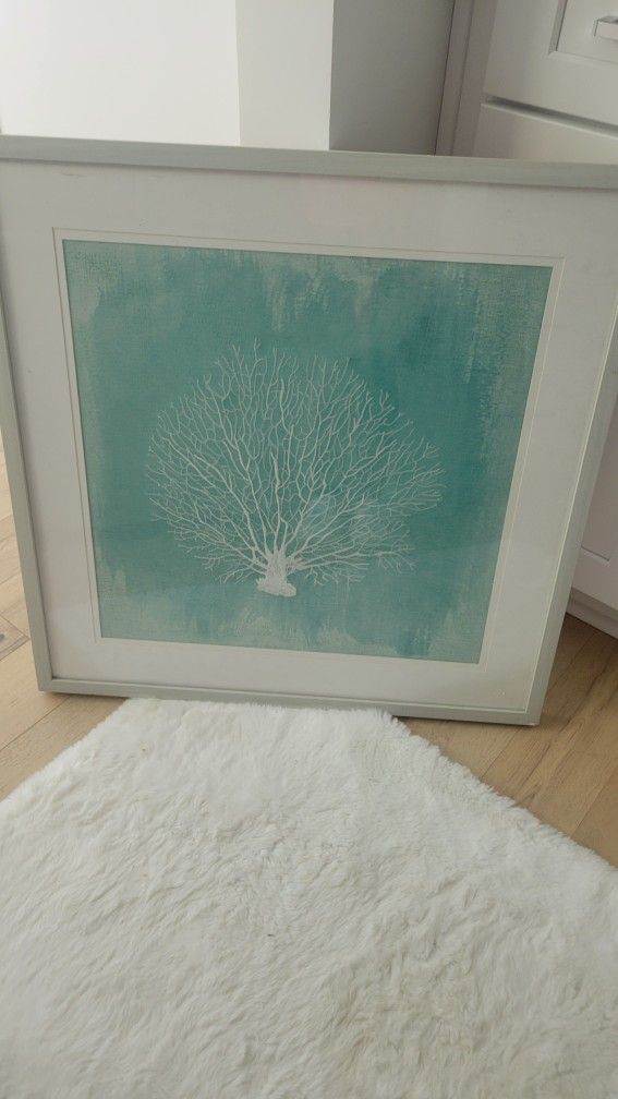 Sea Green Coral Picture