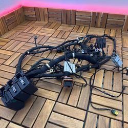 Ferrari F430 Coupe Front Main Body Wire Harness - 208340