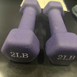 2 Lb Dumbells