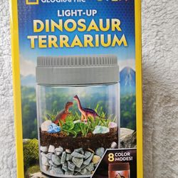 NIB Light-up Dinosaur Terrarium Kit