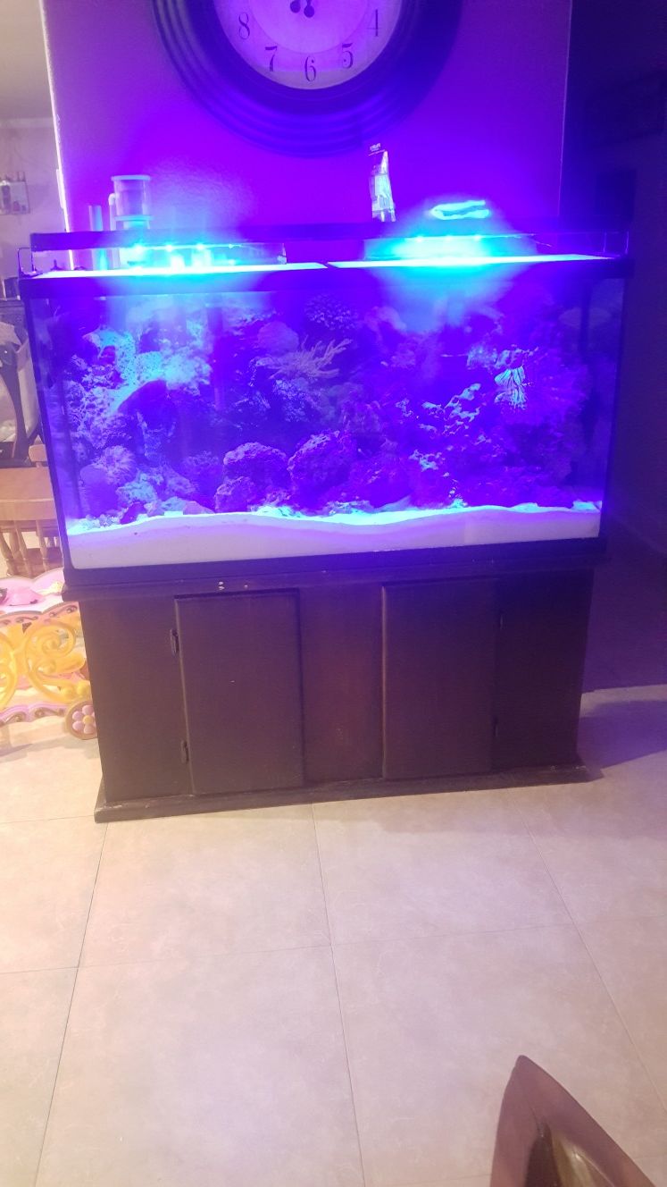 Aquarium